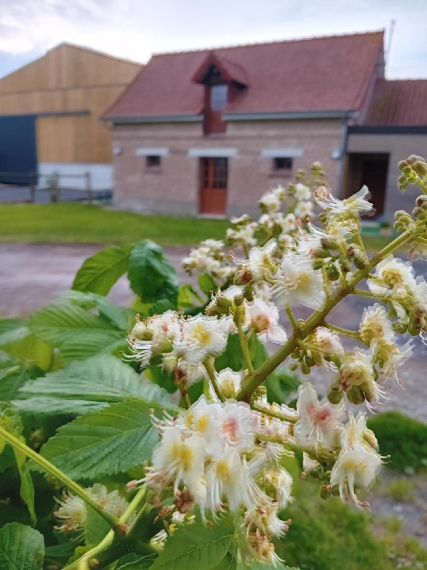 Gite Ferme Du Marronnier Derchigny Екстериор снимка
